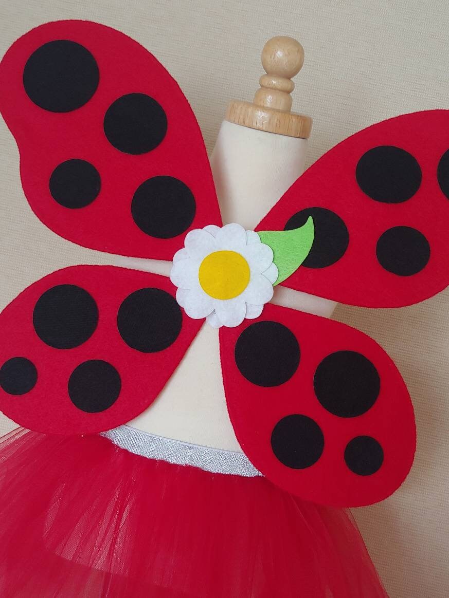 Ladybug Wing